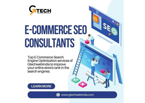 Top E-Commerce Search Engine Optimization