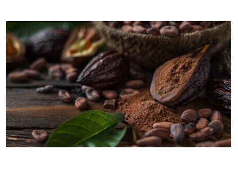 Discover Cocoa Polyphenols Benefits for Better Health