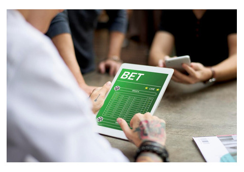 Top-Tier Sports Betting Solutions by Tecpinion