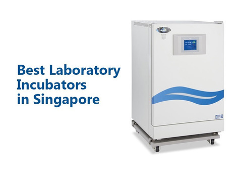 Top Quality Laboratory Incubators Available for 2025