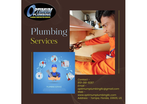 Trusted Plumbing Companies in Tampa for All Your Needs