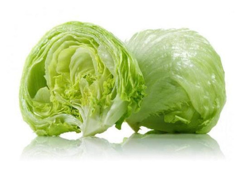 Find Reliable Lettuce Manufacturers in Delhi with Bharat2export