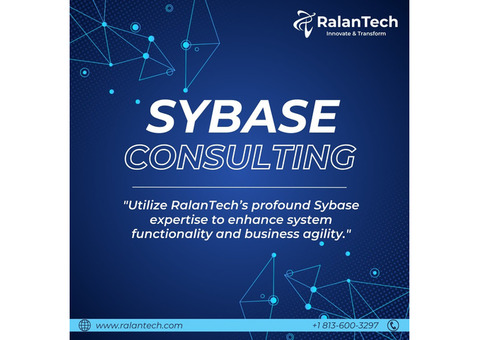 Expert Sybase Consulting Services for Optimal Database Performance