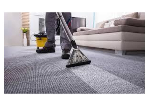 Carpet color correction | North Seattle Carpet Cleaning, LLC