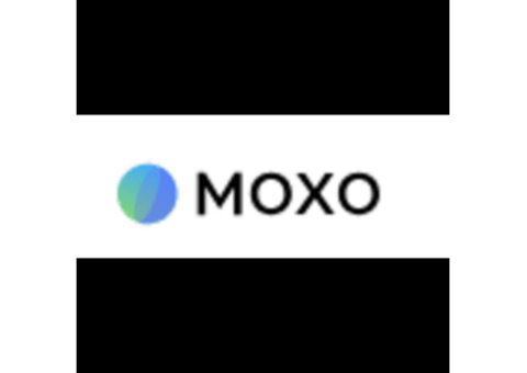 Simplify Project Management with Moxo