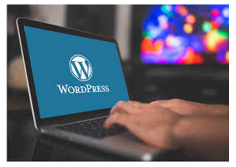 Custom WordPress Theme Development & Customization Services