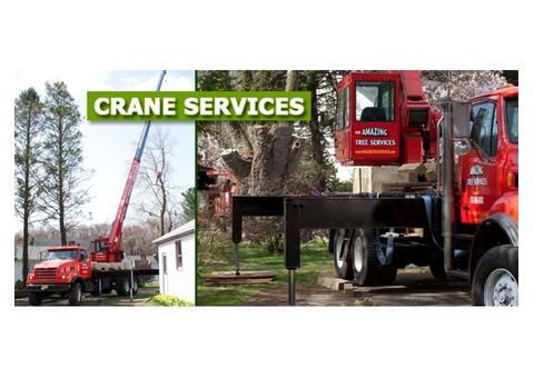 Crane Services in NJ – Amazing Tree Services