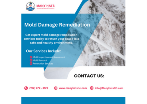 Mold Damage Remediation in Durham, Cary,Carrboro NC