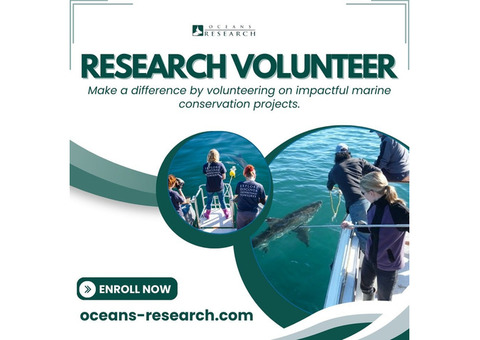 Research Volunteer