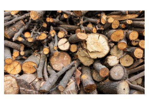 Firewood for Sale in Westwood NJ – Quality by NY NJ Firewood