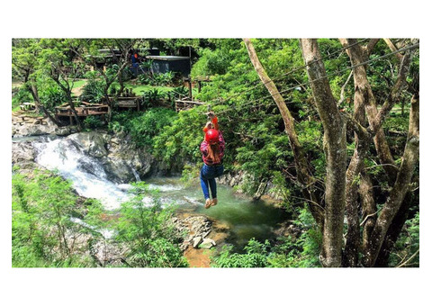 Plan Your Zipline Fiji Experience: Tips for an Epic Day Out