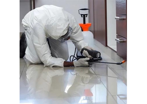 Reliable Pest Control Company in Jadavpur - Jay Lokenath Pest Control