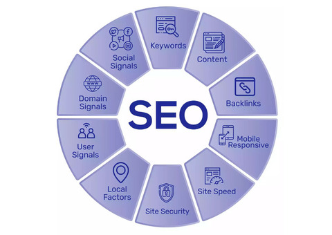 Expert SEO Services for Brands – Digital Hammerr