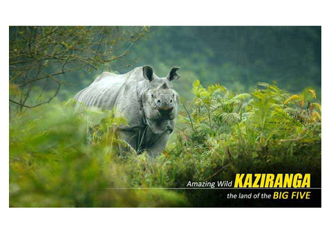 Customized Kaziranga Elephant Safari Package Tour