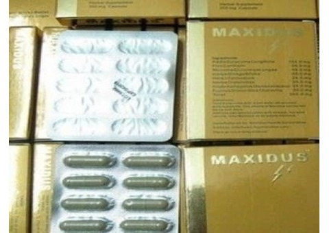 Order Maxidus 380mg Capsule Online | allianceeasyscript.com