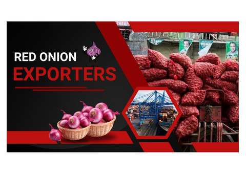 Find Reliable Red Onion Exporters