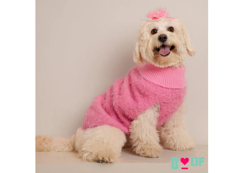 Shop Stylish Dog Sweaters and Dog Jackets Online