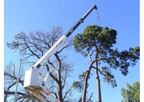 Safe & Affordable Crane Rental for Tree Removal in CA!