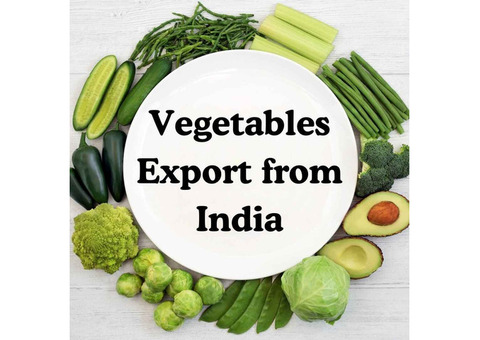 Export the Best Vegetables From India with Bharat2export