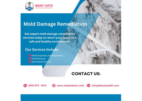 Mold damage restoration in Cary