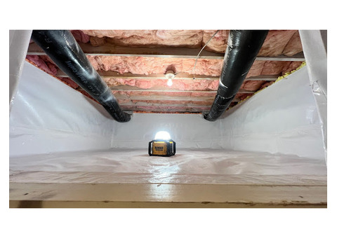 Mold remediation service near me | Your Crawlspace Solution