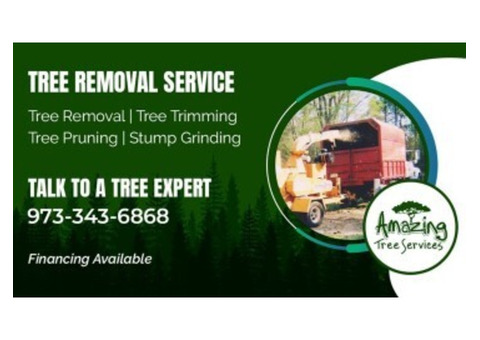 Tree Removal Estimate in NJ – Amazing Tree Services