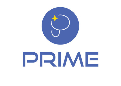 PRIME IT SYSTEMS LTD