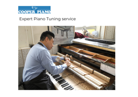 Professional Piano Tuning and repair service