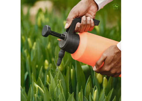 Effective Weed Control Spray for Lawns with Imperial Services Pro