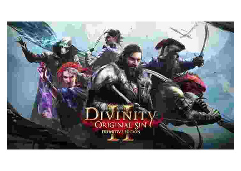 Divinity Original Sin Laptop / Desktop Computer Game