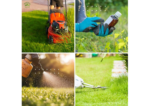 Expert Lawn Fertilization for a Lush, Green Yard