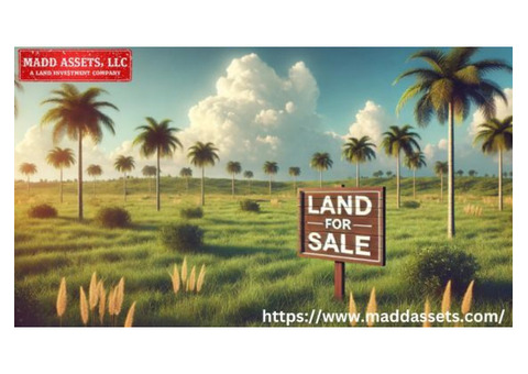 Explore Prime Vacant Land for Sale in Florida