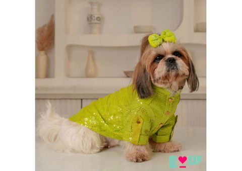 Traditional Dog Kurta Collection Available at Boof by Bella