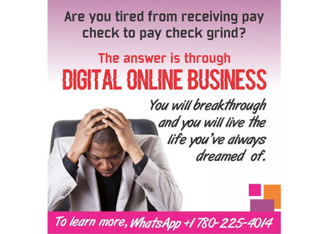 Why not consider online business.