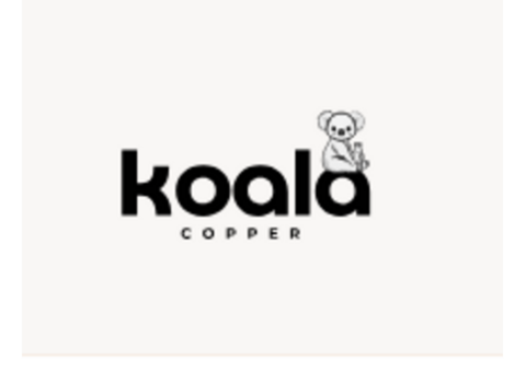 Stay Hydrated with Koala Copper