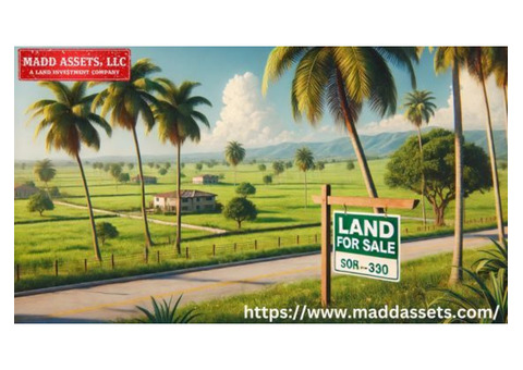 Explore Premium Vacant Land for Sale in Florida