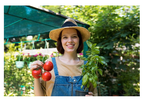 Terrace Vegetable Garden Ideas in India – Transform Your Space Today!