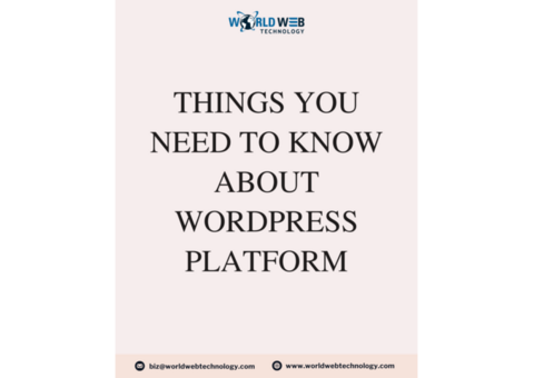 Things You Need to Know About WordPress Platform