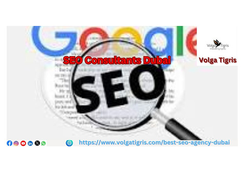 Reach Higher Rankings with Dubai SEO with Services from Volga Tigris