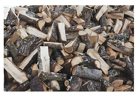 Premium Oakford Firewood – Quality You Can Trust!