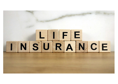 Trusted Life Insurance in Farmington