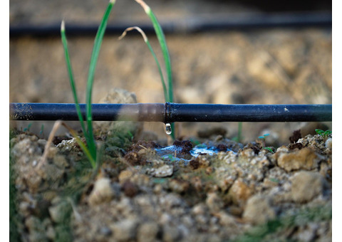 High-Quality Drip Irrigation System for Farms in Madhya Pradesh