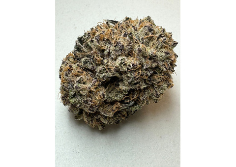 Buy Grape God (AAA) Strain Online in canada.