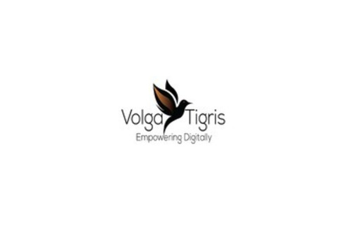 Built Your Dream Website with Volga Tigris