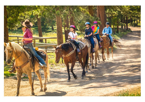 Enjoy Horseback Riding in North Georgia