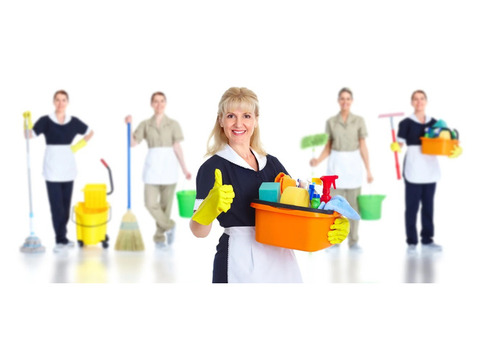 Professional Kitchen Cleaning in Washington DC