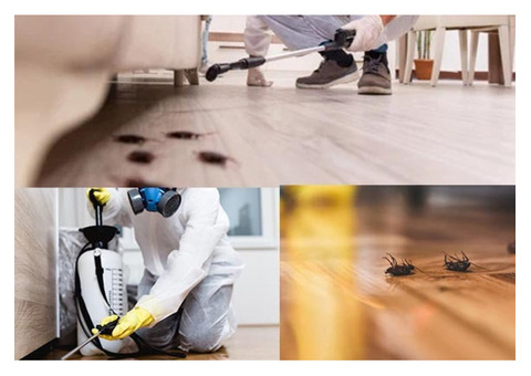 Top Best Pest Control Company in Kolkata – Jay Lokenath Pest Control