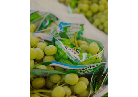 Sweet Table Grape Varieties