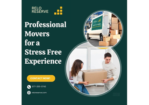 Professional Movers for a Stress-Free Experience