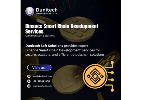 Why Binance Smart Chain Development Services